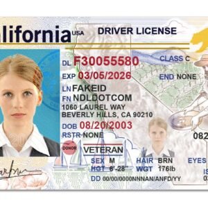 fake driving license online