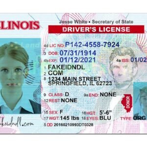 Fake Illinois Driver License