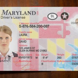 fake maryland driver's license